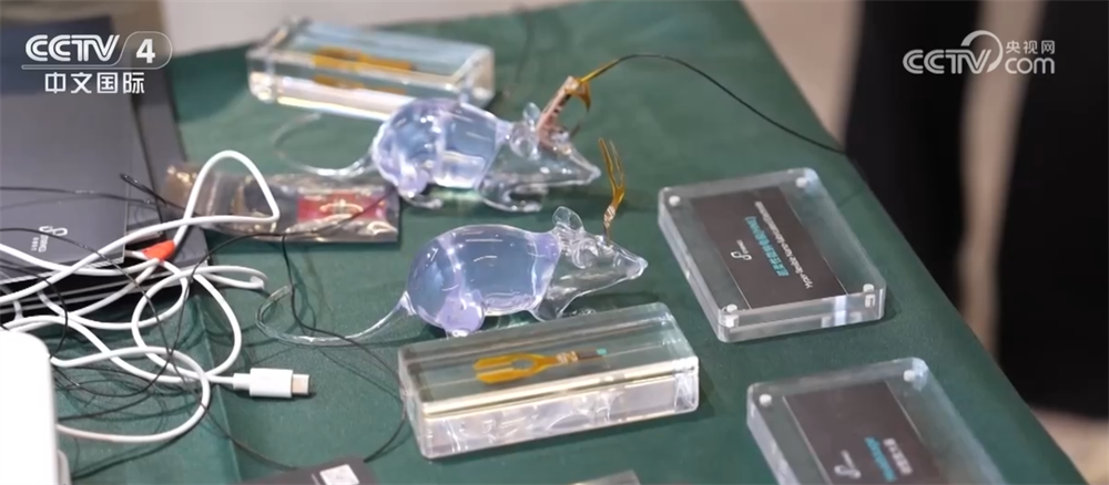 从“意念操控”到“视觉重建”脑机接口有哪些最新突破？来看“中国方案”！(图2)