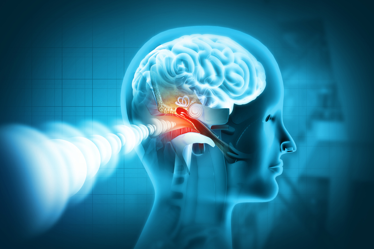21对话｜马斯克再冲刺脑机接口技术“黑匣子”有新突破？(图1)