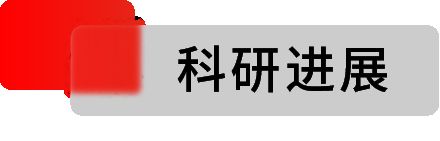 一周要闻 四川绵阳建成西南首个量子城域网(图2)