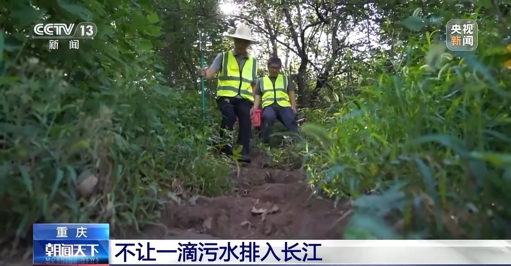 活力中国调研行丨 守好长江上游每一滴水 重庆构建治水“神经网络”(图5)