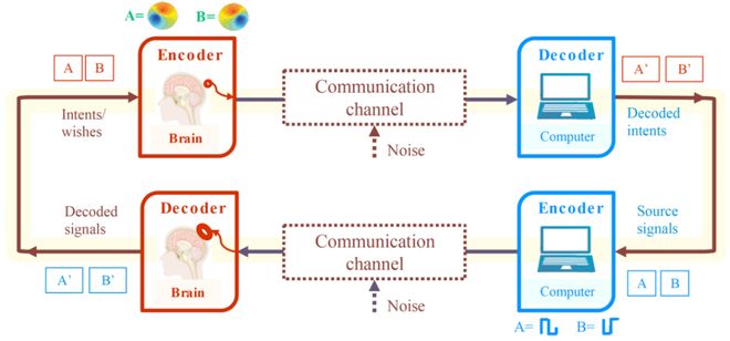 「脑机接口」系统综述发布：全景解析理论、技术、挑战、趋势(图2)