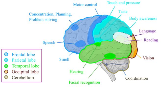 「脑机接口」系统综述发布：全景解析理论、技术、挑战、趋势(图4)