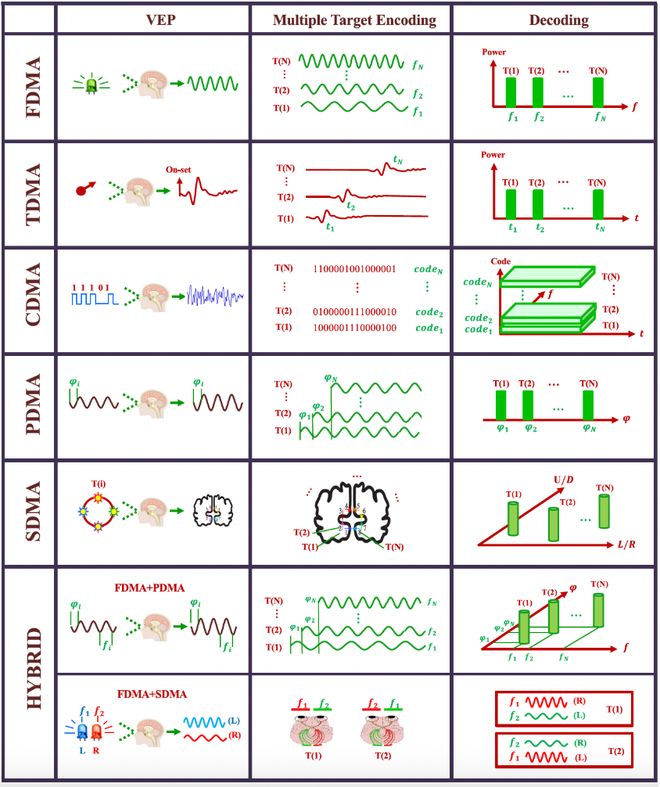 「脑机接口」系统综述发布：全景解析理论、技术、挑战、趋势(图11)
