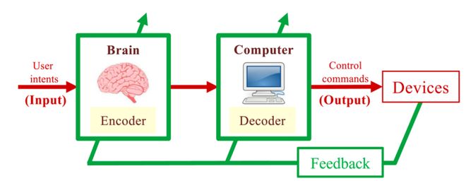 「脑机接口」系统综述发布：全景解析理论、技术、挑战、趋势(图13)