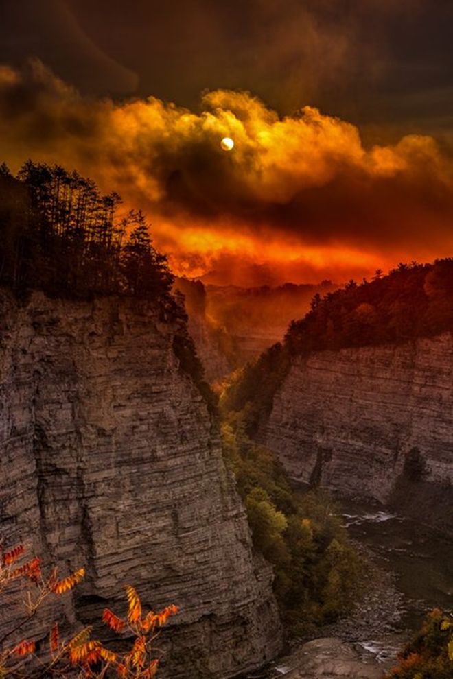 科学家获巨资探索并揭秘人体内隐藏的“第六感觉”(图1)