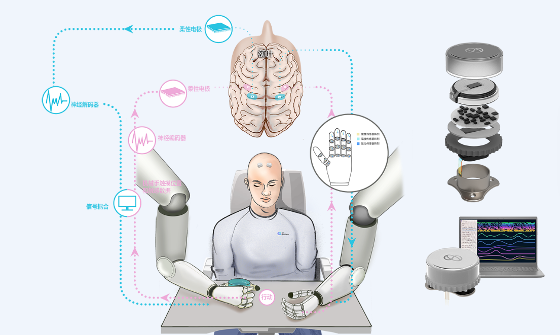 【践行四中全会精神】《科技日报》头版：守护人民健康脑机接口技术向“实”而行(图1)