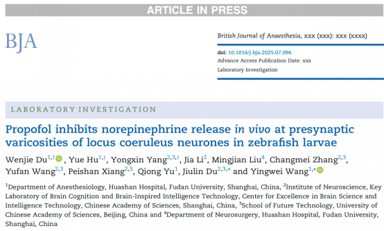 成果丰硕！中国空间站科学研究取得多项重要进展(图1)