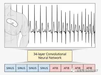 看见中国汽车业的向上力量(图1)