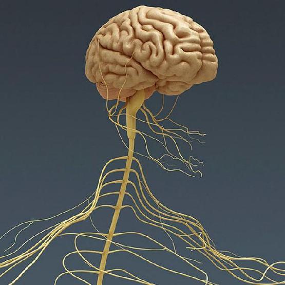 农业科技投资周报｜合成生物、AI育种、精准农业硬件、杀虫剂等案例深度盘点(图1)
