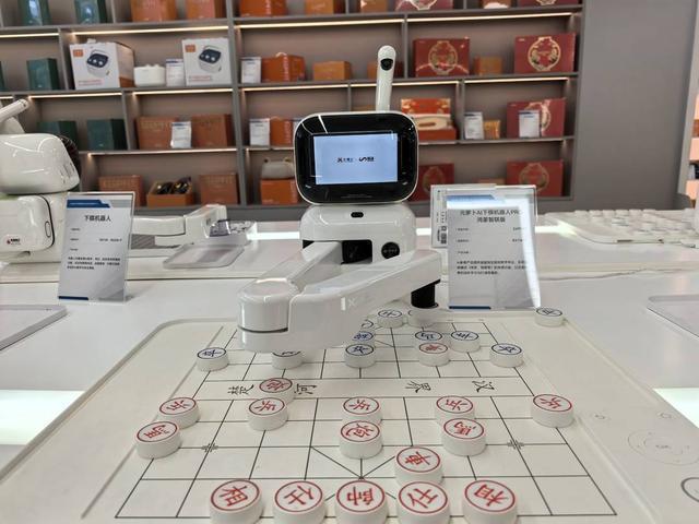 严选AI机器人等210款银发产品 自贡打造科技感爆表的“银发经济”体验新平台(图3)