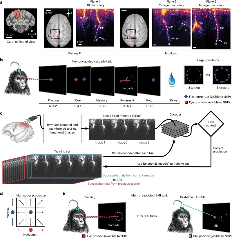 2026年中国分子诊断行业现状分析与未来发展趋势预测(图1)