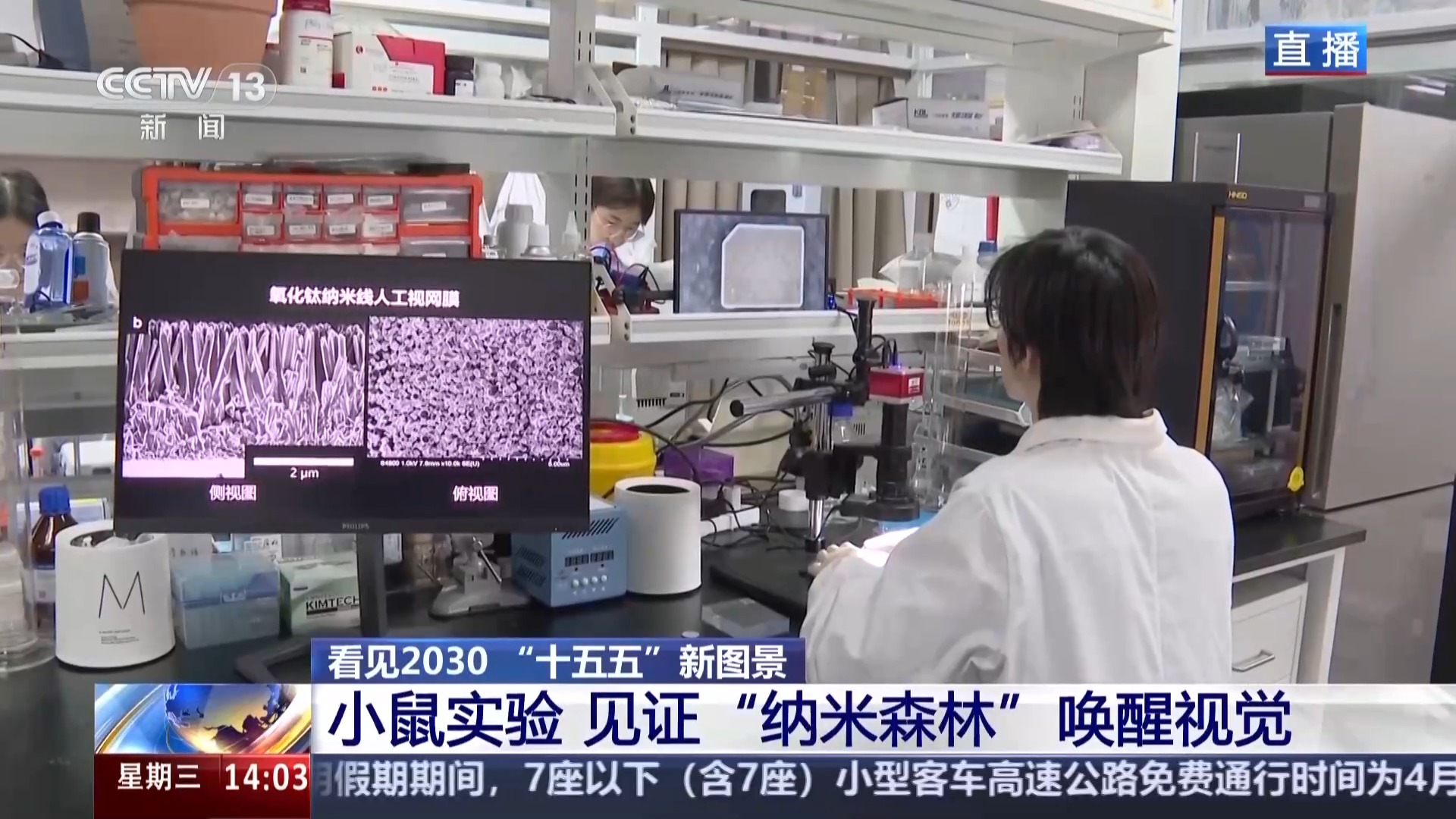 看见2030“十五五”新图景丨脑机接口加速落地 拓展多元应用新场景(图2)