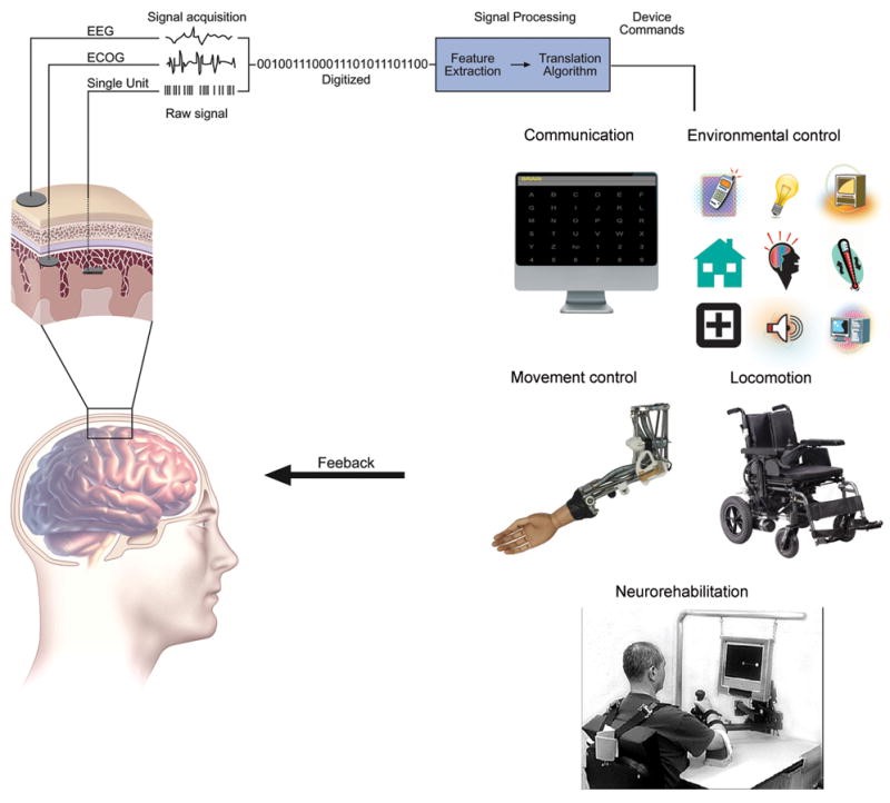 脑机接口——面向未来(图1)
