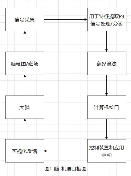 脑机接口——面向未来(图2)